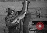 Immagine di Bandiera dell'Inghilterra Omemee Canada, 1939, secondo 13 filmato di repertorio 65675046713
