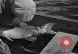 Immagine di Bandiera dell'Inghilterra Omemee Canada, 1939, secondo 18 filmato di repertorio 65675046713