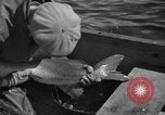 Immagine di Bandiera dell'Inghilterra Omemee Canada, 1939, secondo 19 filmato di repertorio 65675046713
