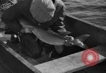 Immagine di Bandiera dell'Inghilterra Omemee Canada, 1939, secondo 24 filmato di repertorio 65675046713
