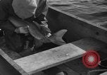 Immagine di Bandiera dell'Inghilterra Omemee Canada, 1939, secondo 26 filmato di repertorio 65675046713