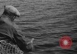 Immagine di Bandiera dell'Inghilterra Omemee Canada, 1939, secondo 49 filmato di repertorio 65675046713