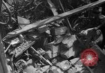 Image of civilians flee Belgium, 1940, second 13 stock footage video 65675046718