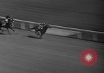 Image of Willie the Kid Toronto Ontario Canada, 1940, second 23 stock footage video 65675046721