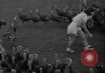 Standbild Türkei Federn Harrisonburg Virginia USA, 1940, aus Sekunde 10 historischem Filmmaterial Videoclip 65675046724