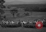 Standbild Türkei Federn Harrisonburg Virginia USA, 1940, aus Sekunde 11 historischem Filmmaterial Videoclip 65675046724