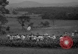 Standbild Türkei Federn Harrisonburg Virginia USA, 1940, aus Sekunde 13 historischem Filmmaterial Videoclip 65675046724