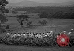 Standbild Türkei Federn Harrisonburg Virginia USA, 1940, aus Sekunde 14 historischem Filmmaterial Videoclip 65675046724
