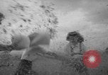 Standbild Türkei Federn Harrisonburg Virginia USA, 1940, aus Sekunde 20 historischem Filmmaterial Videoclip 65675046724