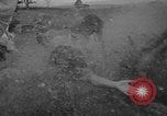 Standbild Türkei Federn Harrisonburg Virginia USA, 1940, aus Sekunde 24 historischem Filmmaterial Videoclip 65675046724