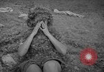 Standbild Türkei Federn Harrisonburg Virginia USA, 1940, aus Sekunde 31 historischem Filmmaterial Videoclip 65675046724