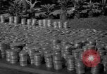 Image of Miami Open Golf Tournament Miami Florida USA, 1940, second 14 stock footage video 65675046735