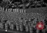 Image of Miami Open Golf Tournament Miami Florida USA, 1940, second 15 stock footage video 65675046735
