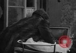Image of Wife of Victoria Cross recipient World War 2 United Kingdom, 1940, second 18 stock footage video 65675046738