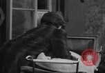 Image of Wife of Victoria Cross recipient World War 2 United Kingdom, 1940, second 20 stock footage video 65675046738