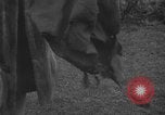 Image of Wife of Victoria Cross recipient World War 2 United Kingdom, 1940, second 36 stock footage video 65675046738