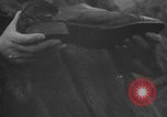 Image of Wife of Victoria Cross recipient World War 2 United Kingdom, 1940, second 40 stock footage video 65675046738