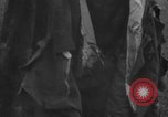 Image of Wife of Victoria Cross recipient World War 2 United Kingdom, 1940, second 52 stock footage video 65675046738