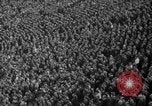 Standbild Baumwolle Schüssel in Dallas Texas Dallas Texas United States USA, 1941, aus Sekunde 4 historischem Filmmaterial Videoclip 65675046750