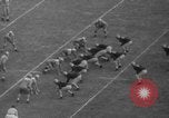 Standbild Sugar Bowl New Orleans Louisiana USA, 1941, aus Sekunde 5 historischem Filmmaterial Videoclip 65675046751