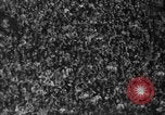 Standbild Sugar Bowl New Orleans Louisiana USA, 1941, aus Sekunde 17 historischem Filmmaterial Videoclip 65675046751