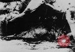Image of USS Newcomb and Leutze attacked by Kamikaze Pacific Ocean, 1945, second 43 stock footage video 65675046768