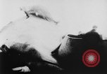 Image of USS Newcomb and Leutze attacked by Kamikaze Pacific Ocean, 1945, second 55 stock footage video 65675046768