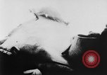 Image of USS Newcomb and Leutze attacked by Kamikaze Pacific Ocean, 1945, second 56 stock footage video 65675046768