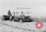 Immagine di Post guerra jeep Toledo Ohio USA, 1944, secondo 28 filmato di repertorio 65675046772