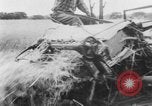 Immagine di Post guerra jeep Toledo Ohio USA, 1944, secondo 33 filmato di repertorio 65675046772