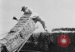 Immagine di Post guerra jeep Toledo Ohio USA, 1944, secondo 40 filmato di repertorio 65675046772