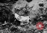 Image of damaged buildings Berlin Germany, 1945, second 41 stock footage video 65675046779