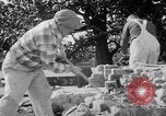 Image of Executive Mansion Washington DC USA, 1950, second 30 stock footage video 65675046781