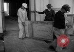 Image of Executive Mansion Washington DC USA, 1950, second 33 stock footage video 65675046781