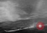 Image of water boarding Florida United States USA, 1950, second 44 stock footage video 65675046784