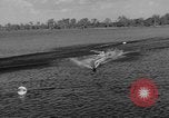 Image of water boarding Florida United States USA, 1950, second 52 stock footage video 65675046784