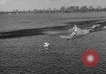 Image of water boarding Florida United States USA, 1950, second 59 stock footage video 65675046784