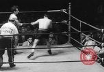 Image of golden gloves boxing New York City USA, 1950, second 7 stock footage video 65675046785