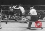 Image of golden gloves boxing New York City USA, 1950, second 9 stock footage video 65675046785