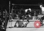 Image of golden gloves boxing New York City USA, 1950, second 11 stock footage video 65675046785