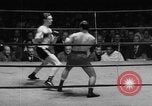 Image of golden gloves boxing New York City USA, 1950, second 48 stock footage video 65675046785