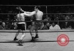 Image of golden gloves boxing New York City USA, 1950, second 49 stock footage video 65675046785