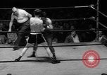 Image of golden gloves boxing New York City USA, 1950, second 52 stock footage video 65675046785