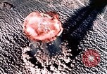 Standbild Nuclear Test Nye County Nevada USA, 1955, aus Sekunde 29 historischem Filmmaterial Videoclip 65675046799