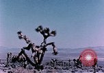 Standbild Fiezeau Nuclear Test Nye County Nevada USA, 1957, aus Sekunde 11 historischem Filmmaterial Videoclip 65675046805