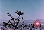Standbild Fiezeau Nuclear Test Nye County Nevada USA, 1957, aus Sekunde 15 historischem Filmmaterial Videoclip 65675046805