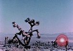 Standbild Fiezeau Nuclear Test Nye County Nevada USA, 1957, aus Sekunde 16 historischem Filmmaterial Videoclip 65675046805