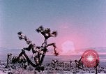 Standbild Fiezeau Nuclear Test Nye County Nevada USA, 1957, aus Sekunde 20 historischem Filmmaterial Videoclip 65675046805