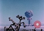 Standbild Fiezeau Nuclear Test Nye County Nevada USA, 1957, aus Sekunde 42 historischem Filmmaterial Videoclip 65675046805
