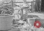 Image of corn sheller United States USA, 1945, second 1 stock footage video 65675046824